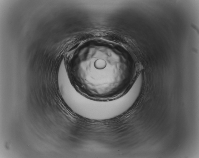 X0000099971444200806061618