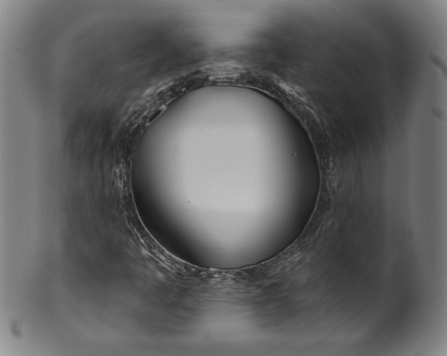 X0000099971445200806061618