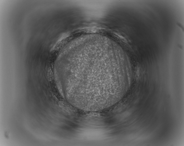 X0000099971446200806061618