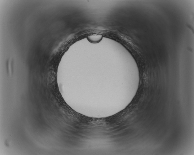 X0000099971447200806061618