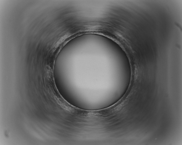 X0000099971449200806061618