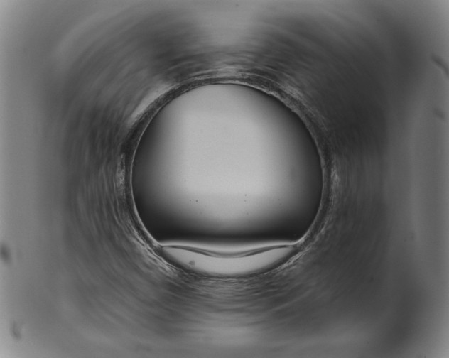 X0000099971450200806061618