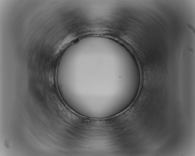 X0000099971451200806061618