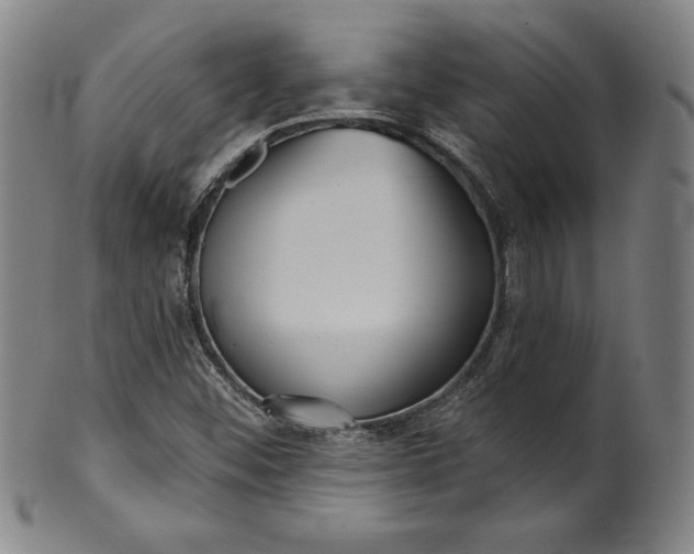 X0000099971452200806061618