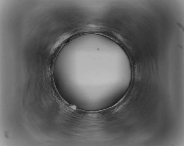 X0000099971453200806061618