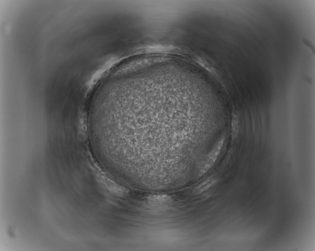 X0000099971454200806061618