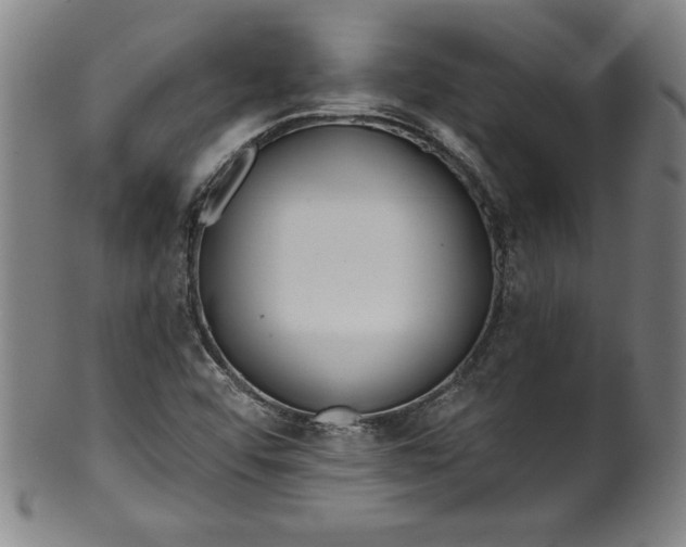 X0000099971456200806061618