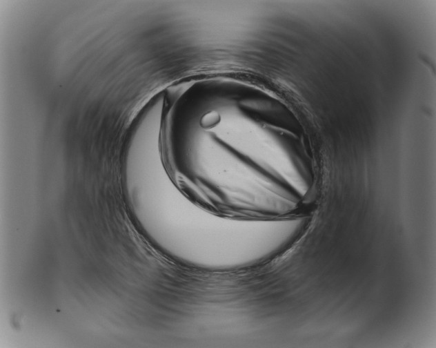 X0000099971457200806061618