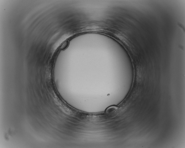 X0000099971458200806061618