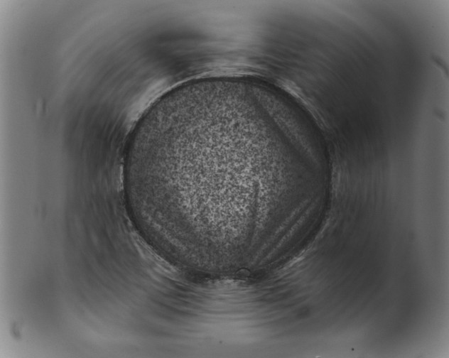 X0000099971459200806061618