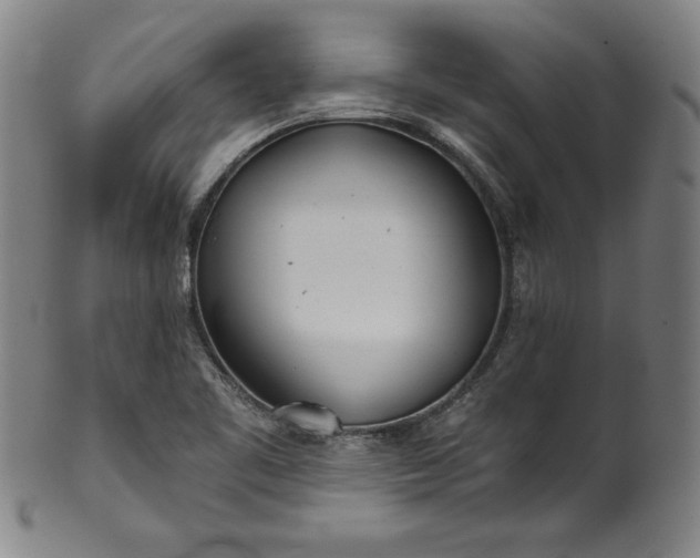 X0000099971461200806061618