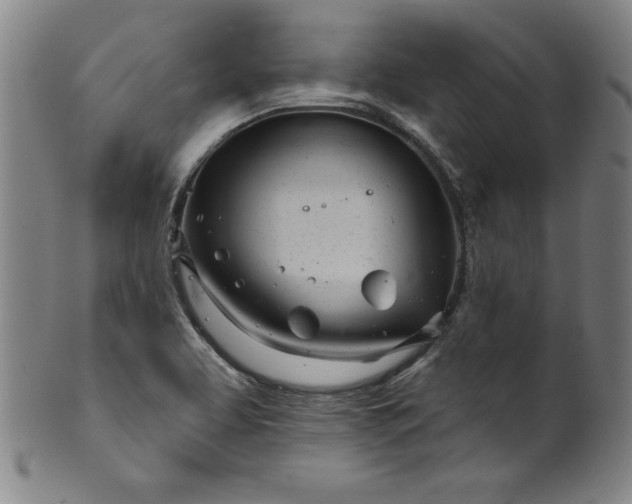 X0000099971463200806061618