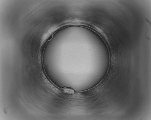 X0000099971464200806061618