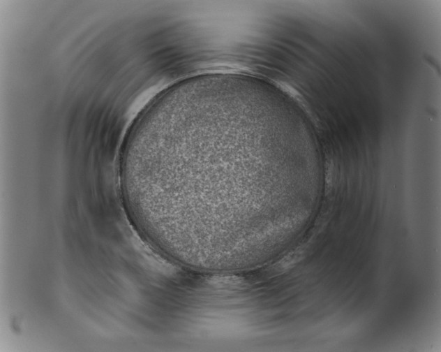 X0000099971466200806061618