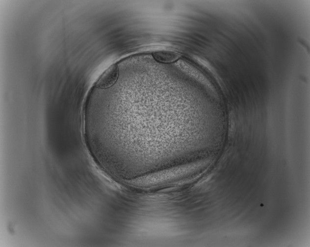 X0000099971467200806061618