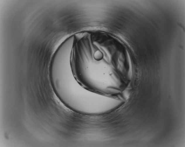 X0000099971468200806061618