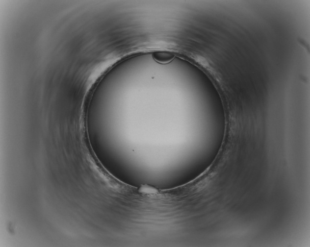 X0000099971469200806061618