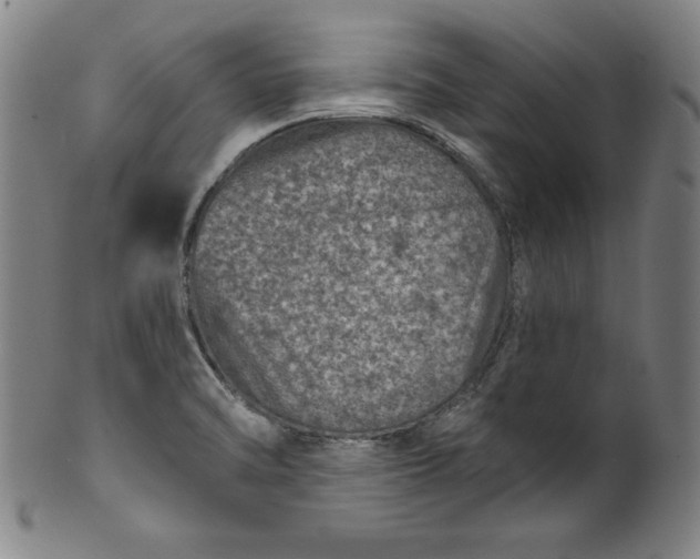 X0000099971470200806061618