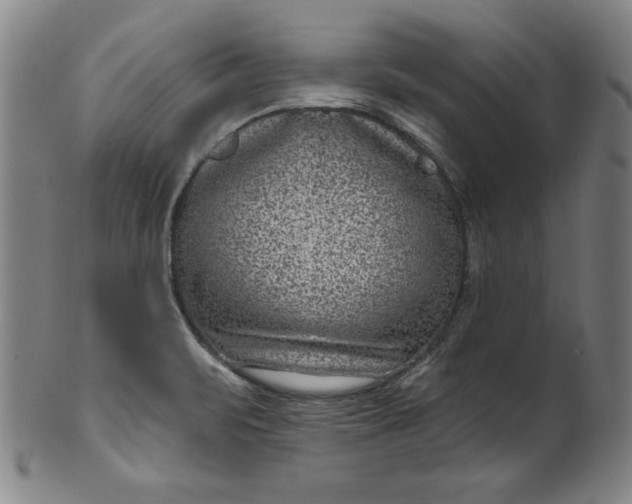 X0000099971471200806061618