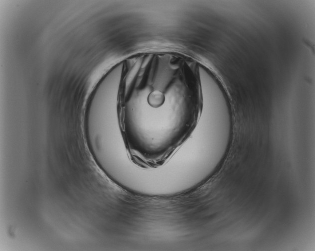 X0000099971472200806061618