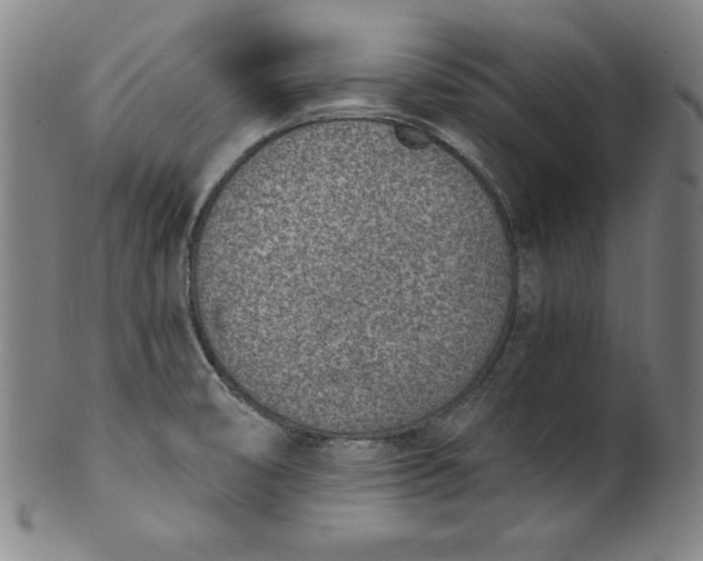 X0000099971474200806061618