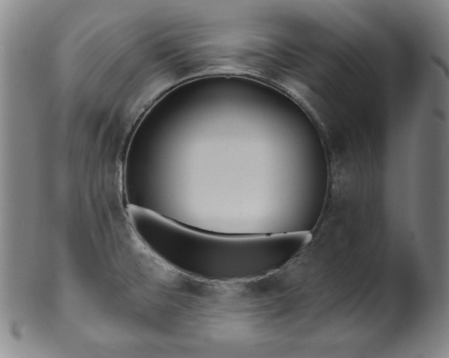 X0000099971476200806061618