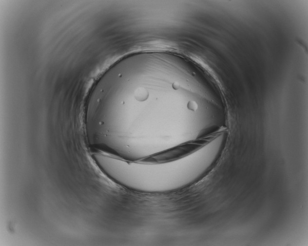 X0000099971477200806061618