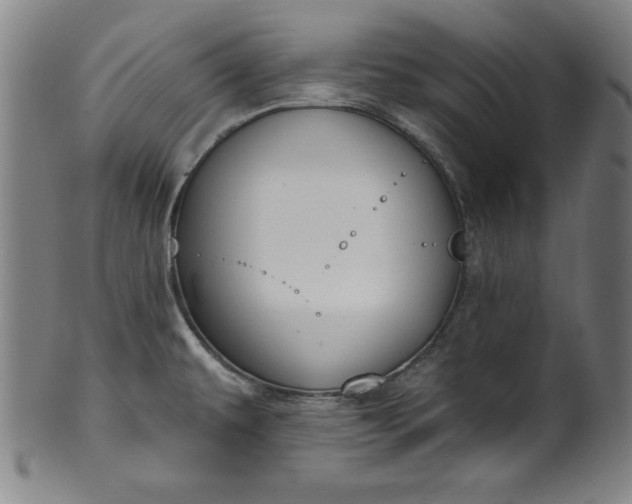 X0000099971479200806061618