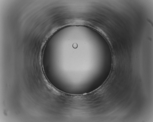 X0000099971480200806061618