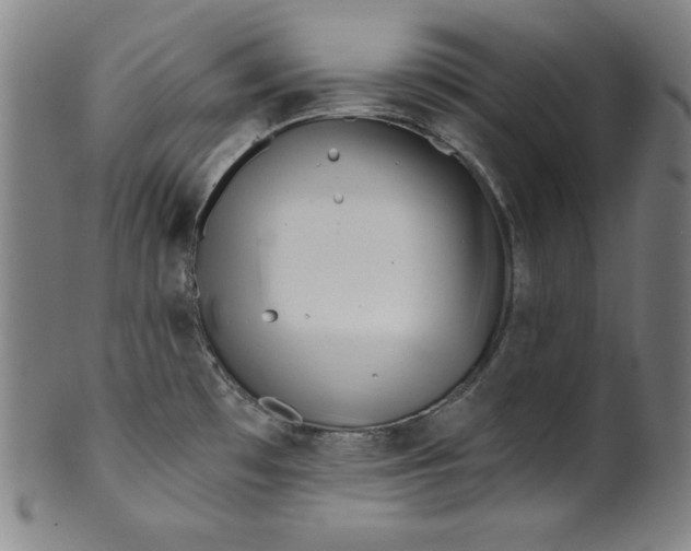 X0000099971481200806061618