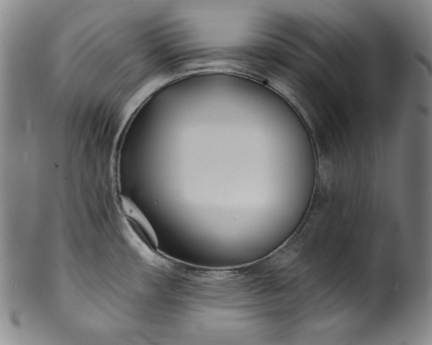 X0000099971482200806061618