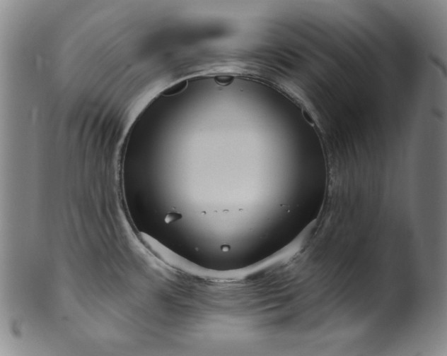 X0000099971483200806061618