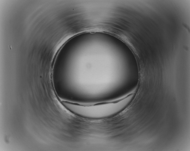 X0000099971484200806061618