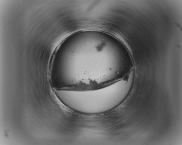 X0000099971485200806061618