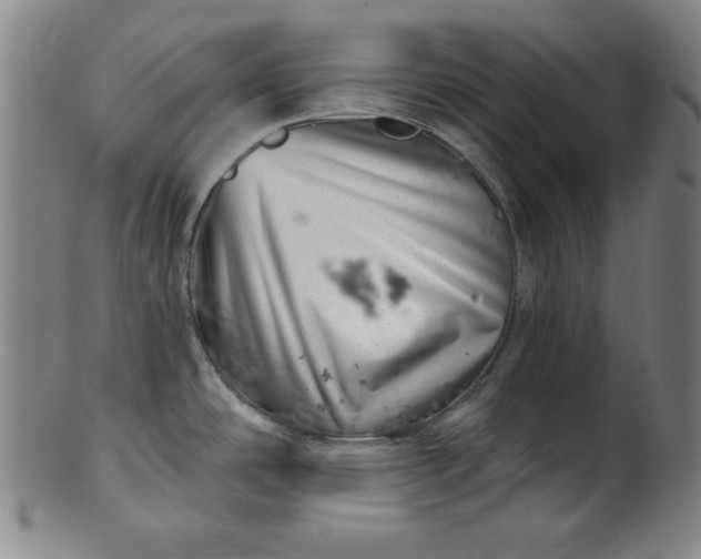 X0000099971486200806061618