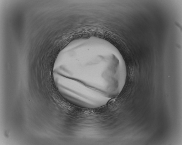 X0000099971489200806061617