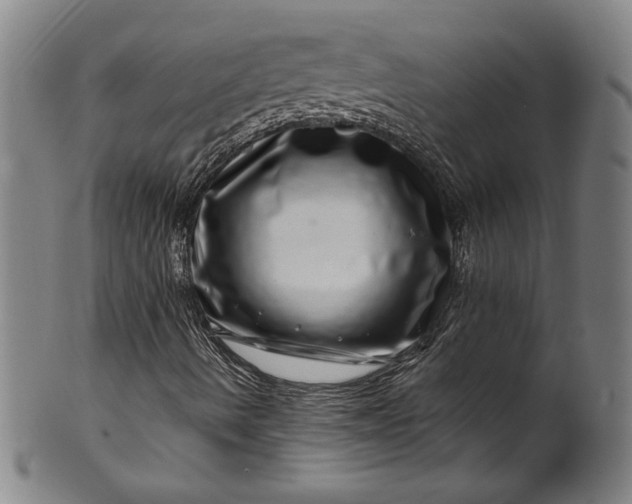 X0000099971490200806061617