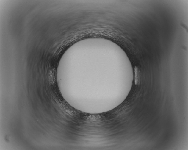 X0000099971491200806061617