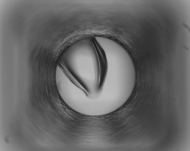 X0000099971492200806061617