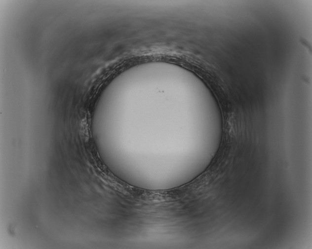 X0000099971493200806061617