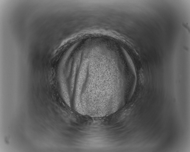 X0000099971494200806061617