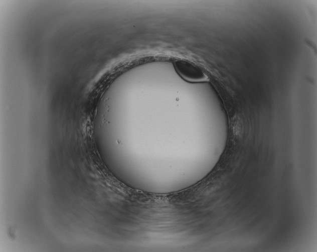 X0000099971495200806061617