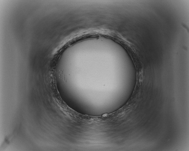 X0000099971496200806061617