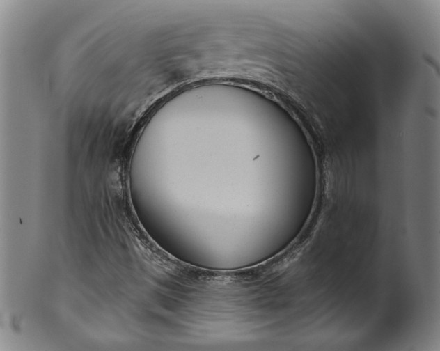 X0000099971497200806061617