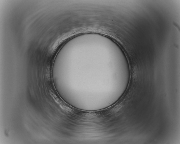 X0000099971499200806061617