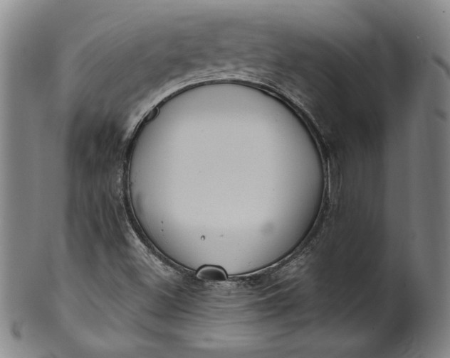 X0000099971500200806061617