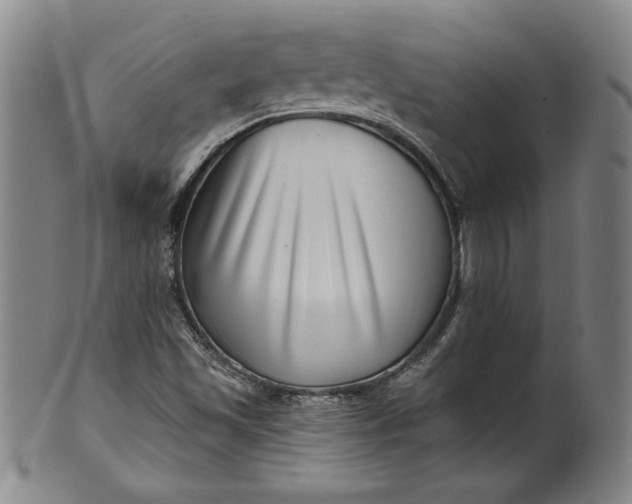 X0000099971501200806061617