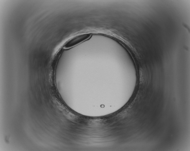 X0000099971502200806061617