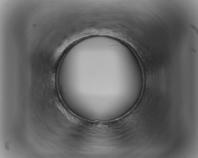 X0000099971503200806061617