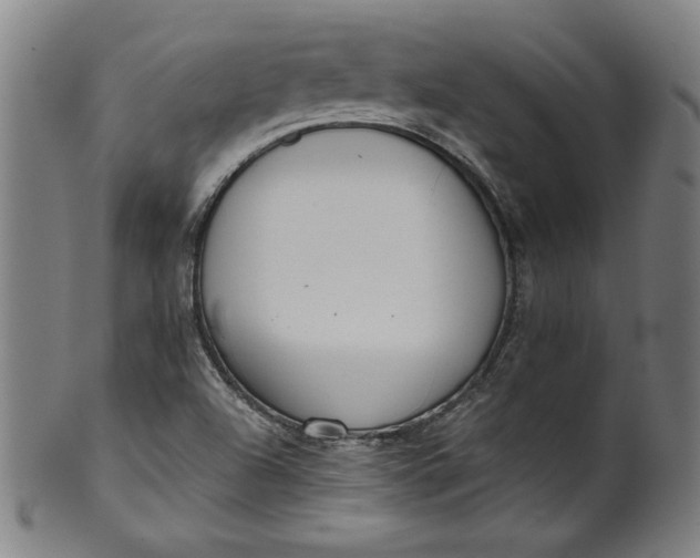 X0000099971504200806061617